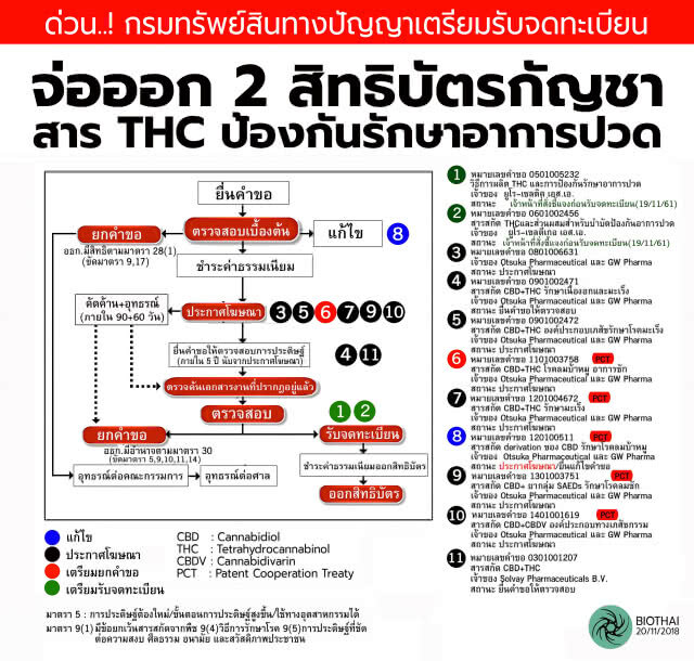 BIOTHAI แฉเพิ่ม พณ.แถลงยกเลิก 1 คำขอสิทธิบัตรกัญชา แต่หน้าเว็บกรม เตรียมให้ 2 สิทธิบัตร