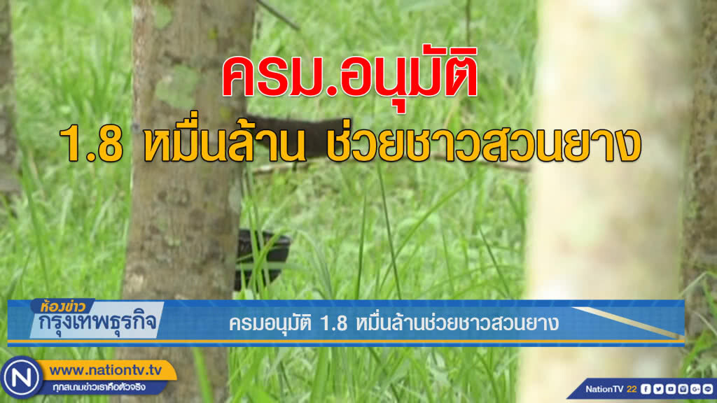 ครม.อนุมัติ 1.8 หมื่นล้านช่วยชาวสวนยาง ครม.อนุมัติ 1.8 หมื่นล้านช่วยชาวสวนยาง