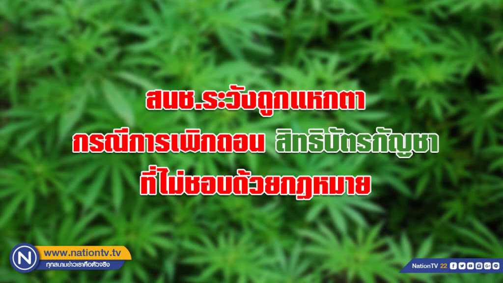 สนช.ระวังถูกแหกตา กรณีการเพิกถอนสิทธิบัตรกัญชาที่ไม่ชอบด้วยกฎหมาย