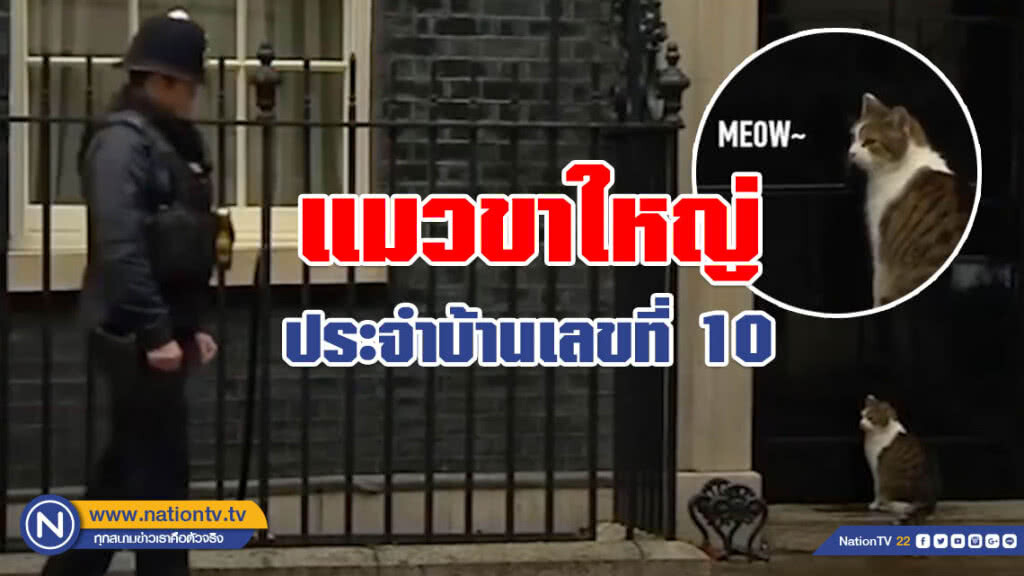 (คลิปข่าว) แลร์รี่ แมวขาใหญ่ประจำบ้านเลขที่ 10 (คลิปข่าว) แลร์รี่ แมวขาใหญ่ประจำบ้านเลขที่ 10