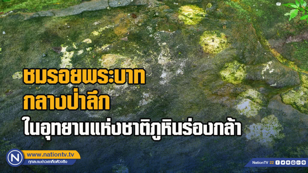 ชมรอยพระบาทกลางป่าลึกในอุทยานแห่งชาติภูหินร่องกล้า