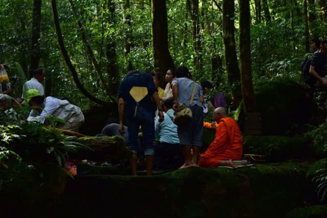 ชมรอยพระบาทกลางป่าลึกในอุทยานแห่งชาติภูหินร่องกล้า