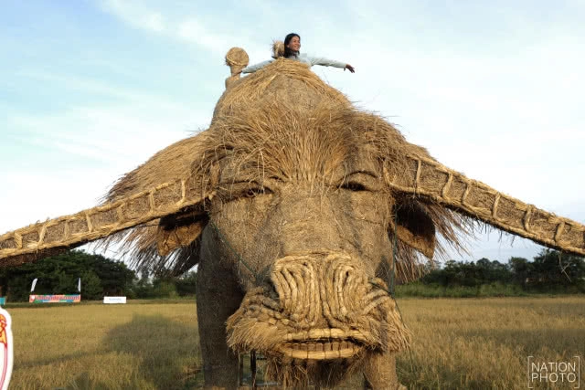 หุ่นฟางยักษ์  "กระบือบิน"