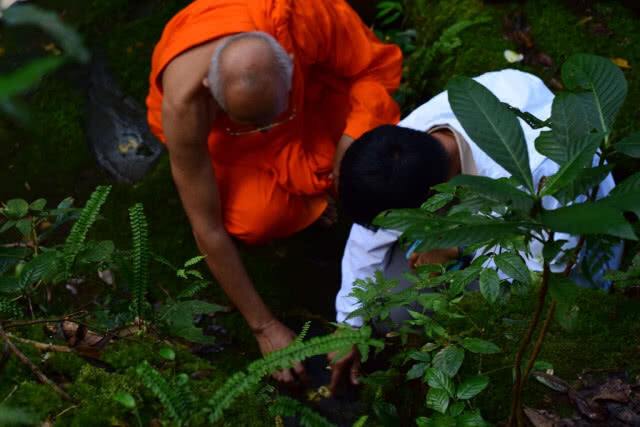 ชมรอยพระบาทกลางป่าลึกในอุทยานแห่งชาติภูหินร่องกล้า