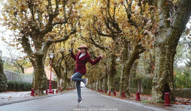 ชมเมืองเก่า "Viviers" พร้อมคลอเคลียมรดกโลก