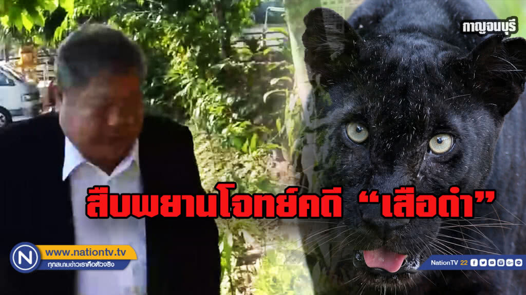 สืบพยานโจทย์คดีเสือดำ 2 ปาก"ศรีวราห์-หน.วิเชียร"