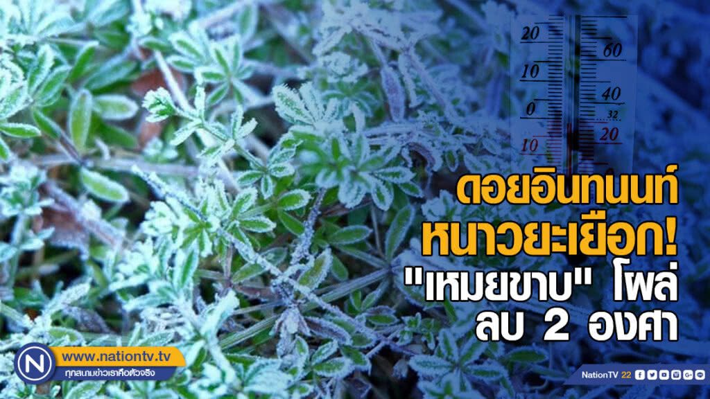 ดอยอินทนนท์หนาวยะเยือก! "เหมยขาบ" โผล่ ลบ 2 องศา ดอยอินทนนท์หนาวยะเยือก! "เหมยขาบ" โผล่ ลบ 2 องศา