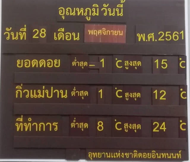 ดอยอินทนนท์หนาวยะเยือก! "เหมยขาบ" โผล่ ลบ 2 องศา