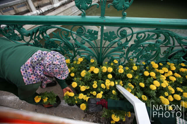 นำดอกดาวเรืองประดับ เส้นทางการปั่นจักรยาน "Bike อุ่นไอรัก"
