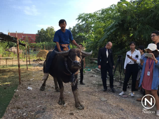 "เจ้าทองคำ" ได้กลับบ้านชัยนาทแล้ว