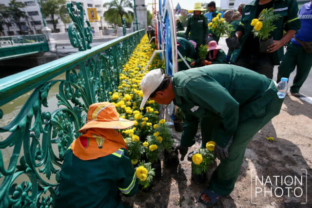 นำดอกดาวเรืองประดับ เส้นทางการปั่นจักรยาน "Bike อุ่นไอรัก"