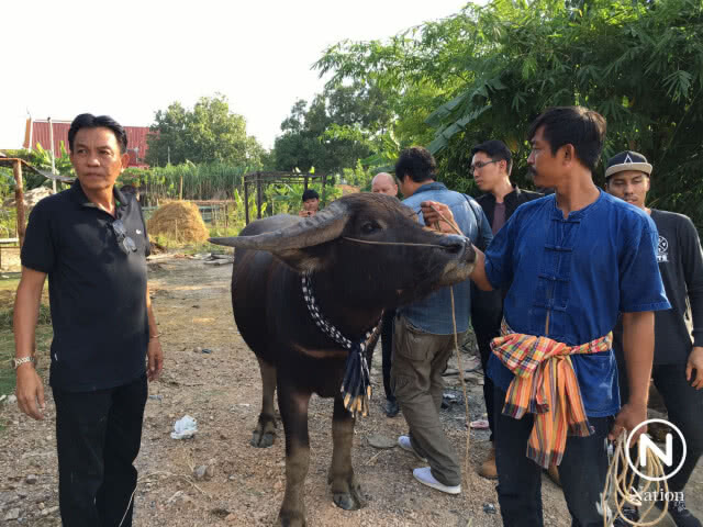"เจ้าทองคำ" ได้กลับบ้านชัยนาทแล้ว