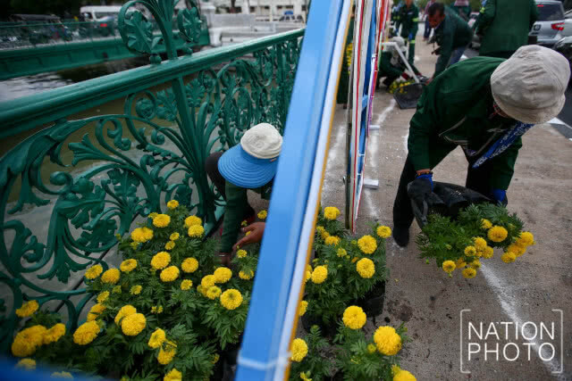 นำดอกดาวเรืองประดับ เส้นทางการปั่นจักรยาน "Bike อุ่นไอรัก"