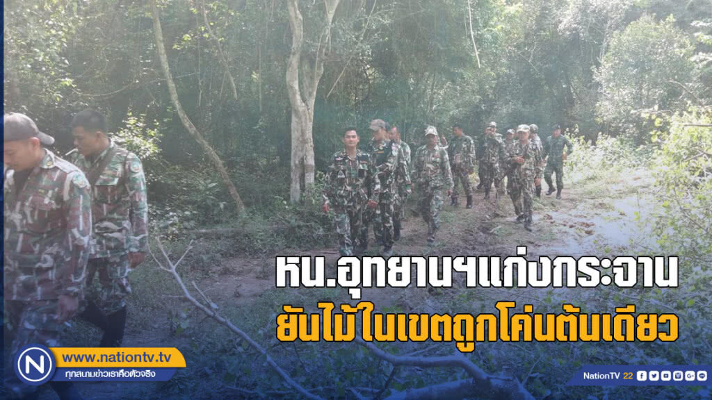 หน.อุทยานฯแก่งกระจาน ยันไม้ในเขตถูกโค่นต้นเดียว หน.อุทยานฯแก่งกระจาน ยันไม้ในเขตถูกโค่นต้นเดียว