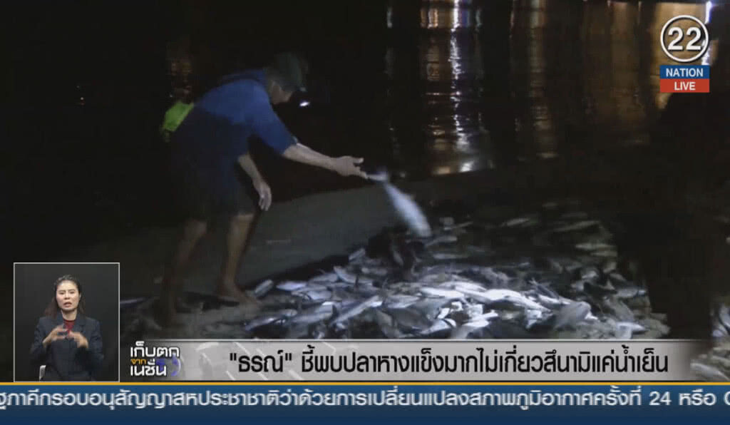 (คลิปข่าว) "ธรณ์" ชี้พบปลาหางแข็งมาก ไม่เกี่ยวสึนามิแค่น้ำเย็น (คลิปข่าว) "ธรณ์" ชี้พบปลาหางแข็งมาก ไม่เกี่ยวสึนามิแค่น้ำเย็น