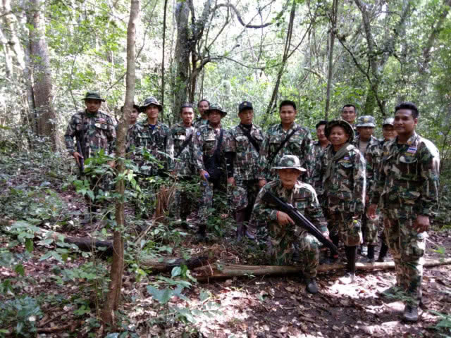 หน.อุทยานฯแก่งกระจาน ยันไม้ในเขตถูกโค่นต้นเดียว