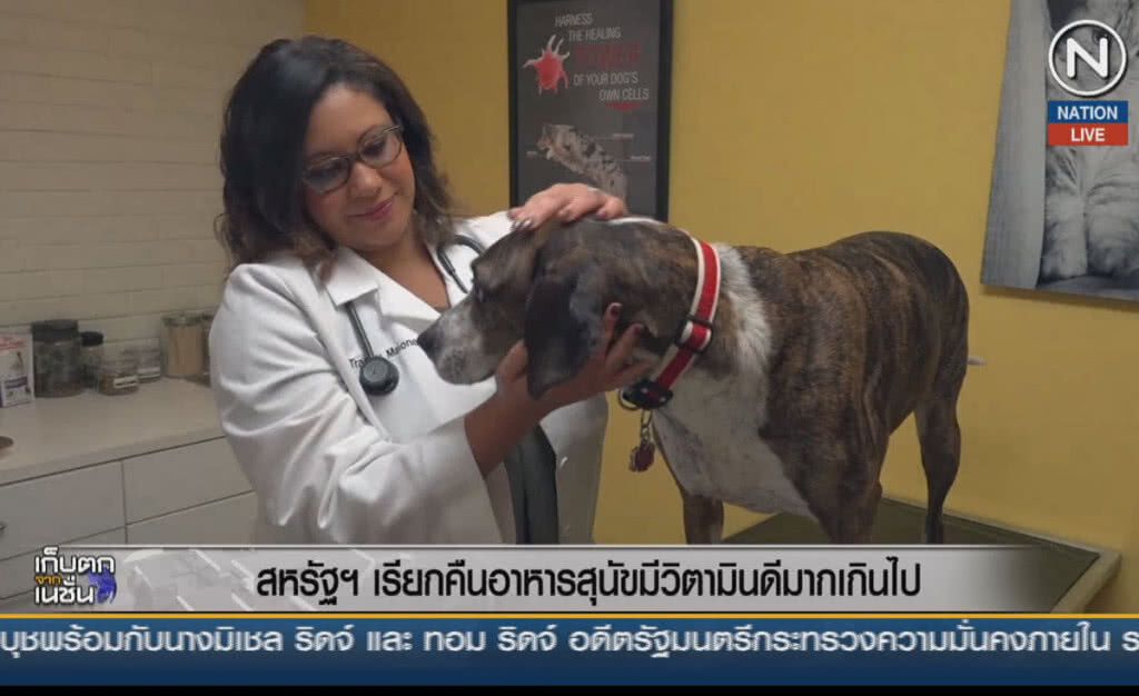 (คลิปข่าว) สหรัฐเรียกคืนอาหารสุนัข มีวิตามินดีมากเกินไป