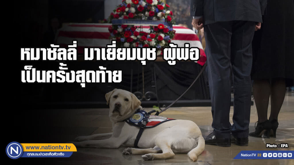 หมาซัลลี่ มาเยี่ยมบุช ผู้พ่อ เป็นครั้งสุดท้าย