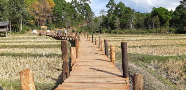 ปกาเกอะญอบ้านจันทน์ร่วมใจสร้างทางเดินของพ่อ