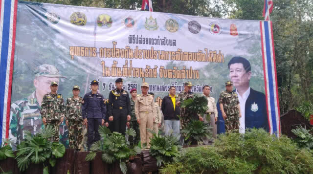 เปิดยุทธการป้องกันปราบปรามการลักลอบตัดไม้