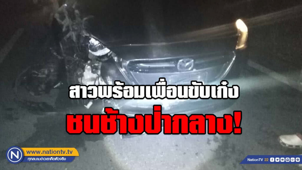 สาวพร้อมเพื่อนขับเก๋งจะเอ๋ช้างป่า ชนกลางถนนกาญจนบุรี – ศรีสวัสดิ์ พังยับ!