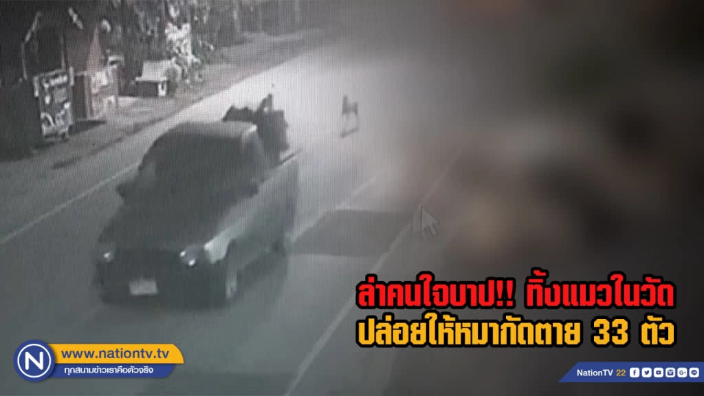 ล่าคนใจบาป!! ทิ้งแมวในวัดปล่อยให้หมากัดตาย 33 ตัว ล่าคนใจบาป!! ทิ้งแมวในวัดปล่อยให้หมากัดตาย 33 ตัว