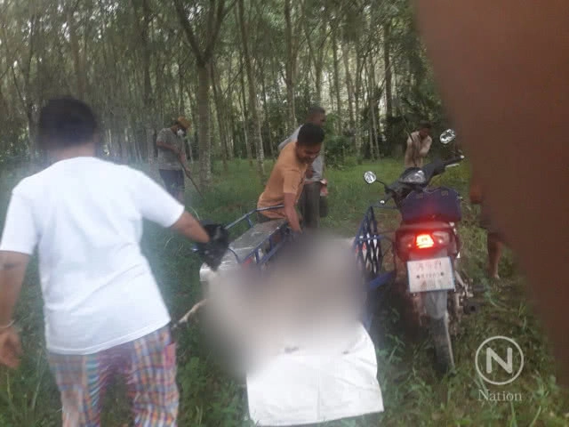 ล่าคนใจบาป!! ทิ้งแมวในวัดปล่อยให้หมากัดตาย 33 ตัว