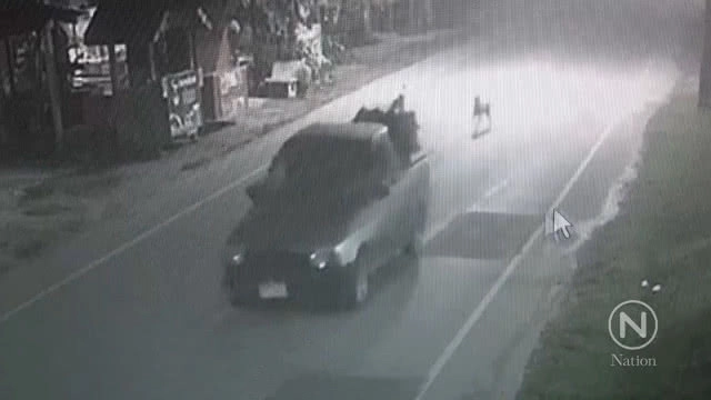 ล่าคนใจบาป!! ทิ้งแมวในวัดปล่อยให้หมากัดตาย 33 ตัว