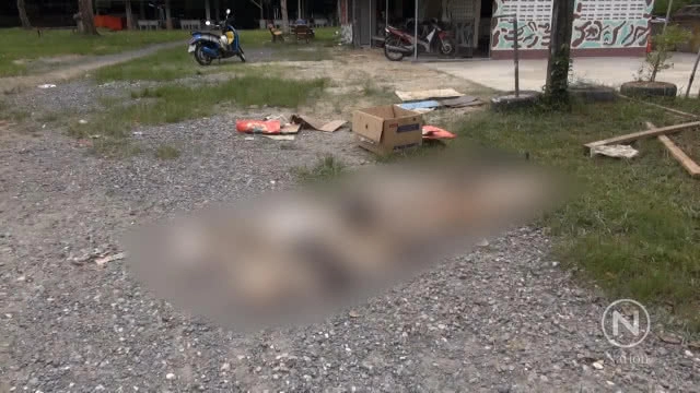 ล่าคนใจบาป!! ทิ้งแมวในวัดปล่อยให้หมากัดตาย 33 ตัว