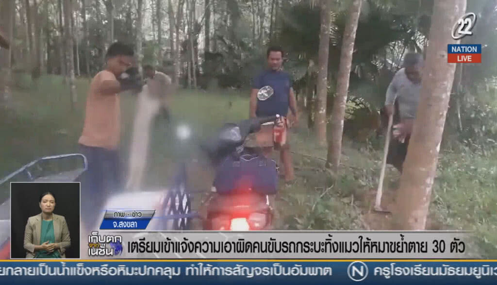 (คลิปข่าว) แจ้งเอาผิดคนขับรถกระบะ ทิ้งแมวให้หมาขย้ำตาย 30 ตัว