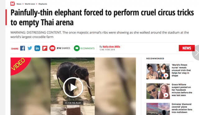 สื่อใหญ่ต่างประเทศลงข่าว "ช้างผอมโซ"