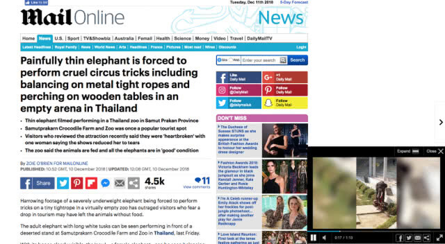 สื่อใหญ่ต่างประเทศลงข่าว "ช้างผอมโซ"
