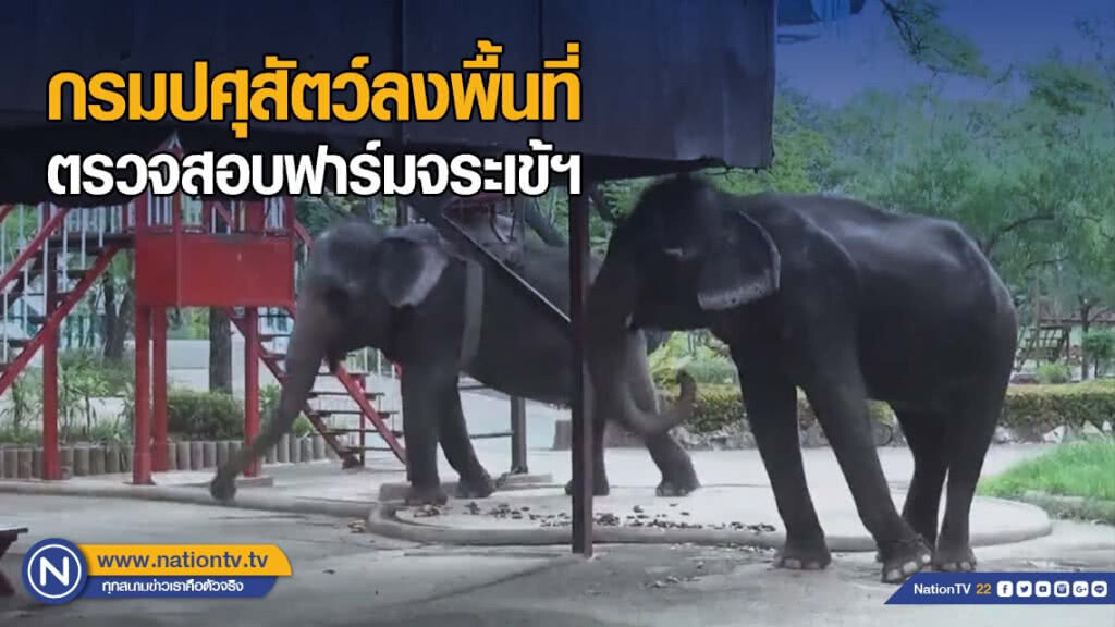 กรมปศุสัตว์ลงพื้นที่ตรวจสอบฟาร์มจระเข้ สมุทรปราการ หลังพบสัตว์ผอมผิดปกติ