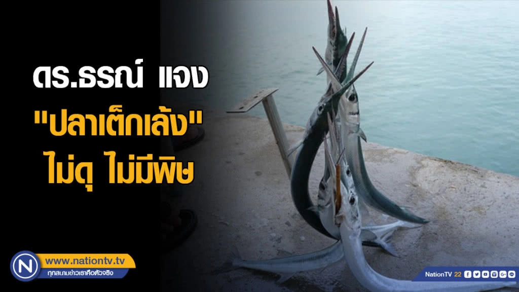 ดร.ธรณ์ แจง "ปลาเต็กเล้ง" ไม่ดุ ไม่มีพิษ