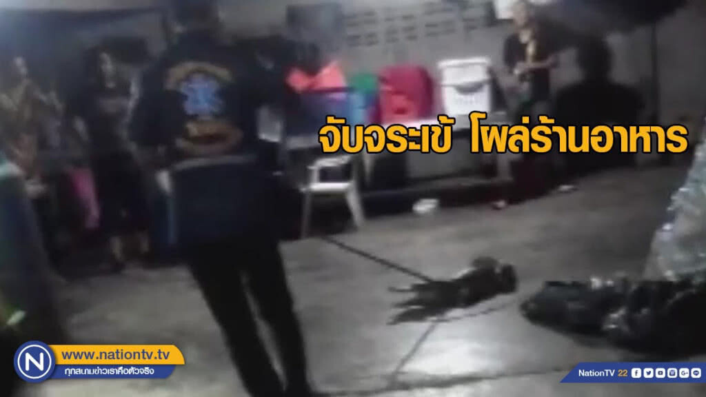 เจ้าหน้าที่จับจระเข้ยาว 2 เมตรในร้านอาหาร เจ้าหน้าที่จับจระเข้ยาว 2 เมตรในร้านอาหาร