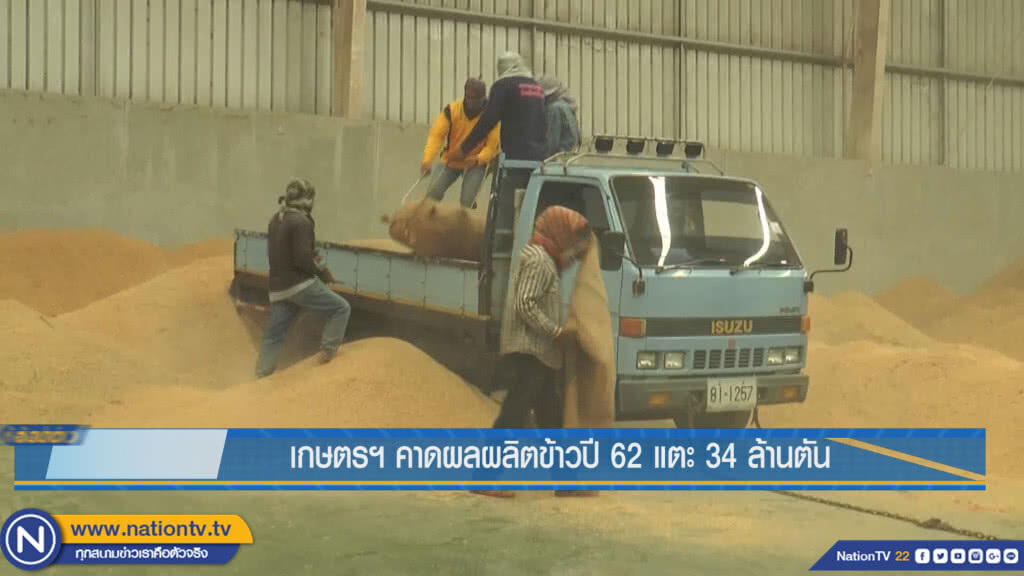 เกษตรฯ คาดผลผลิตข้าวปี 62 แตะ 34 ล้านตัน