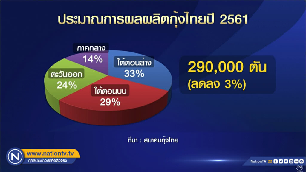 สมาคมกุ้งไทยคาดยอดส่งออกปีนี้พุ่ง 5.5 หมื่นล้าน สมาคมกุ้งไทยคาดยอดส่งออกปีนี้พุ่ง 5.5 หมื่นล้าน