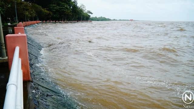 คลื่นผักตบจำนวนมาก ซัดเข้าหาฝั่งทะเลน้อย