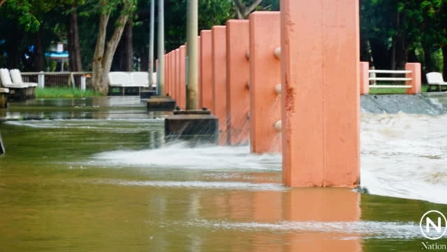 คลื่นผักตบจำนวนมาก ซัดเข้าหาฝั่งทะเลน้อย