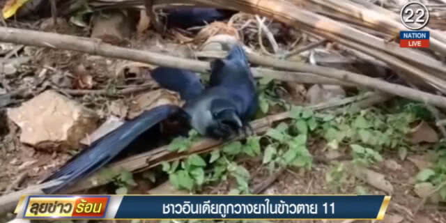(คลิปข่าว) ชาวอินเดียถูกวางยาในข้าว เสียชีวิต 11 เจ็บเกือบร้อย
