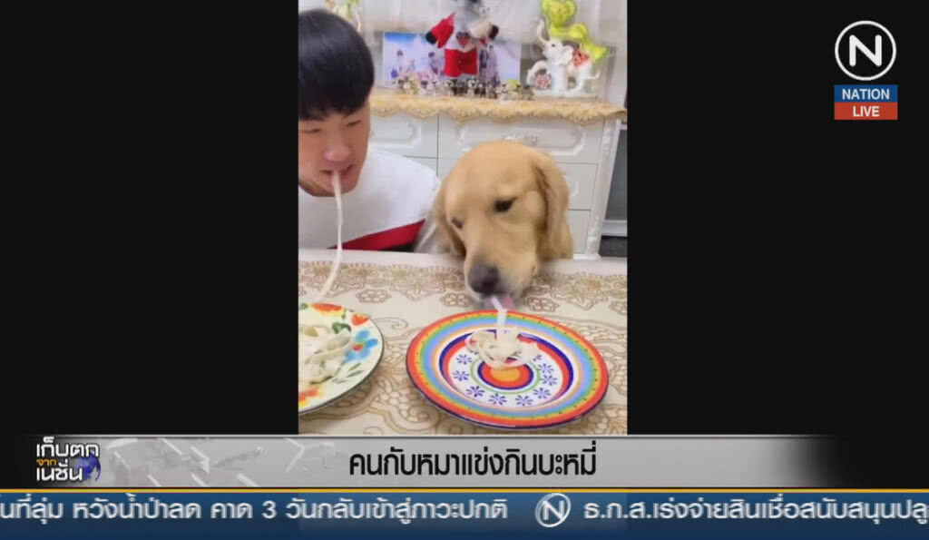 (คลิปข่าว) คนกับหมา แข่งกินบะหมี่ (คลิปข่าว) คนกับหมา แข่งกินบะหมี่