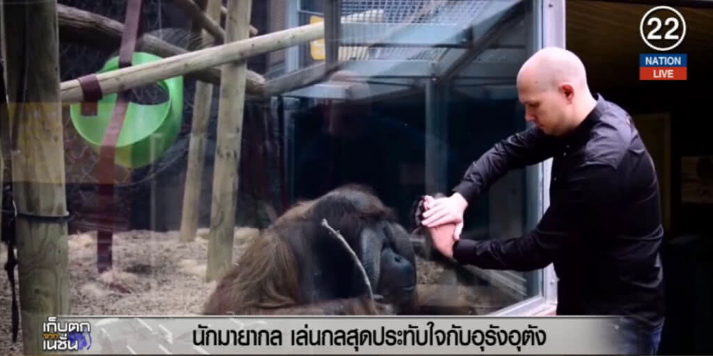 (คลิปข่าว) นักมายากล เล่นกลสุดประทับใจกับ "อุรังอุตัง" (คลิปข่าว) นักมายากล เล่นกลสุดประทับใจกับ "อุรังอุตัง"