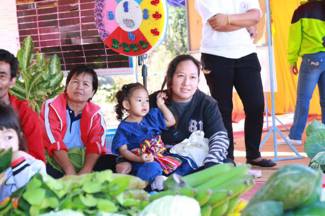 สสส.หนุนคนไทยกินผักวันละ 4 ขีด  ช่วยชาติประหยัดงบดูแลสุขภาพปีละ 6,700 ล้านบาท