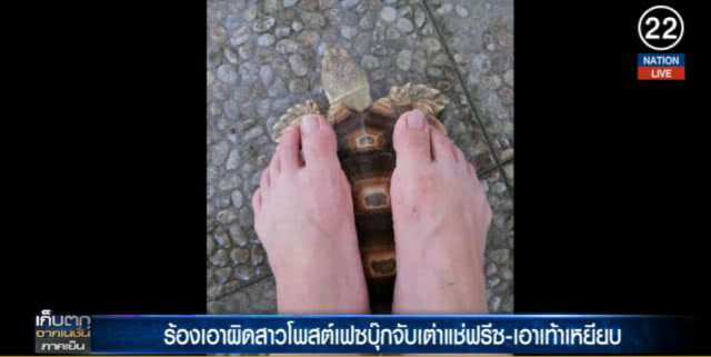 (คลิปข่าว) ตร.เอาผิดสาว จับเต่าแช่ฟรีซ ทารุณกรรมสัตว์