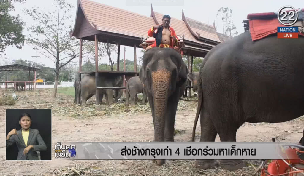 (คลิปข่าว) ส่งช้างกรุงเก่า 4 เชือกร่วมหาเด็กหาย (คลิปข่าว) ส่งช้างกรุงเก่า 4 เชือกร่วมหาเด็กหาย