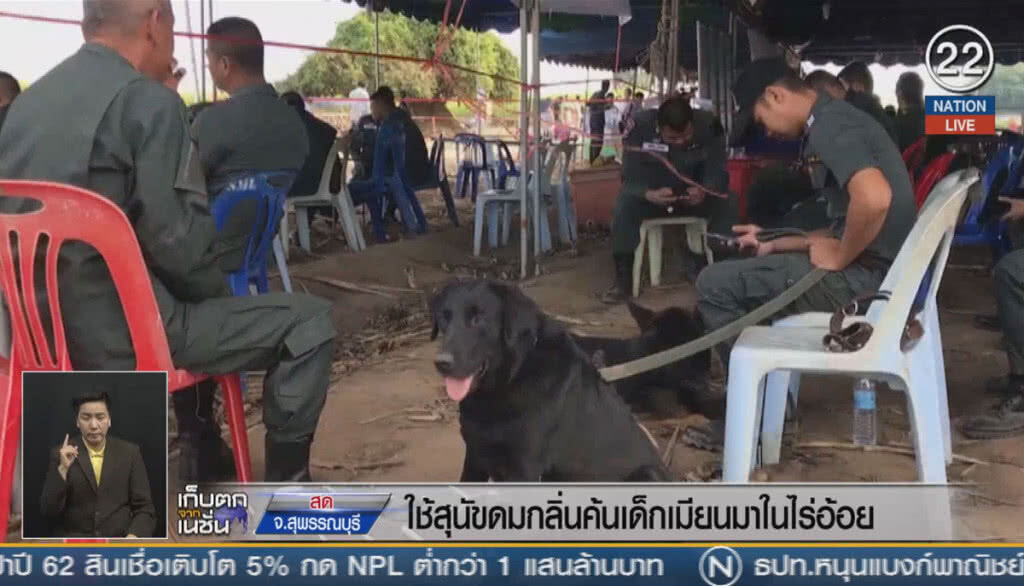 (คลิปข่าว) ใช้สุนัขดมกลิ่นค้นหาเด็กเมียนมาในไร่อ้อย (คลิปข่าว) ใช้สุนัขดมกลิ่นค้นหาเด็กเมียนมาในไร่อ้อย