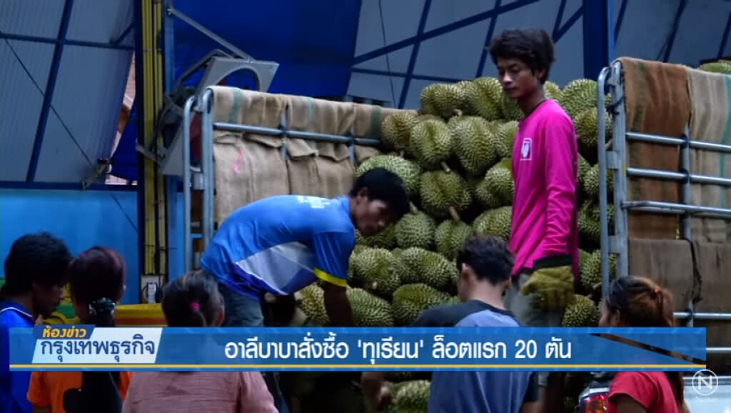 อาลีบาบาสั่งซื้อ'ทุเรียน'ล็อตแรก 20 ตัน อาลีบาบาสั่งซื้อ'ทุเรียน'ล็อตแรก 20 ตัน