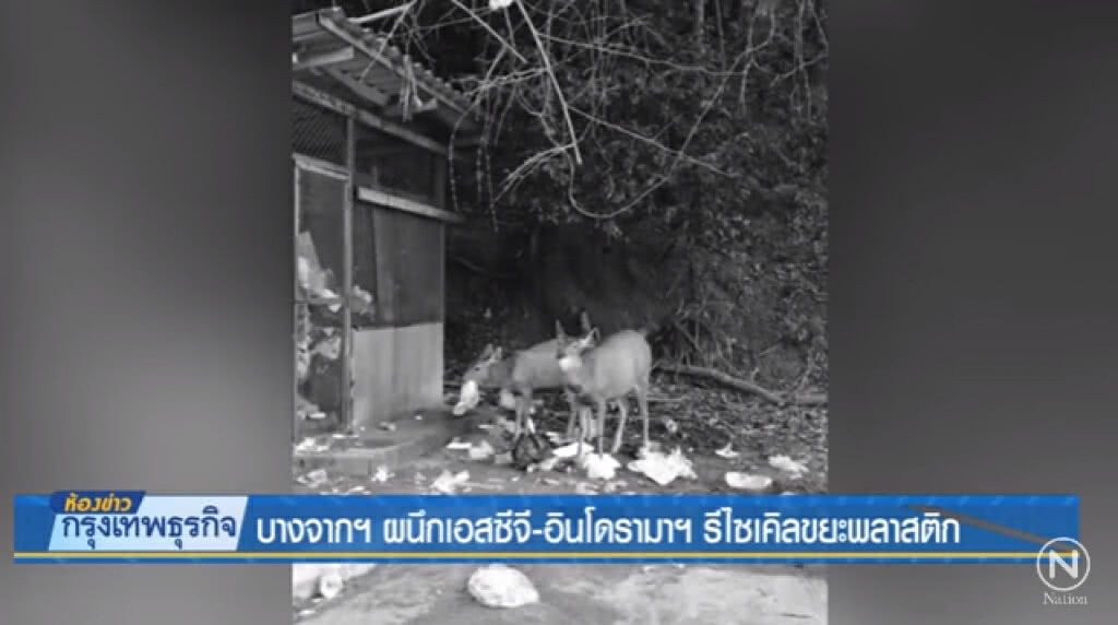 บางจากฯ ผนึกเอสซีจี-อินโดรามาฯ รีไซเคิลขยะพลาสติก