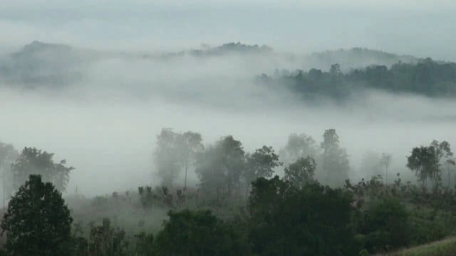 พะเยา คึกคัก!! นักท่องเที่ยวแห่ชมพระอาทิตย์-ทะเลหมอก 360 องศา ที่ม่อนแสนสุข