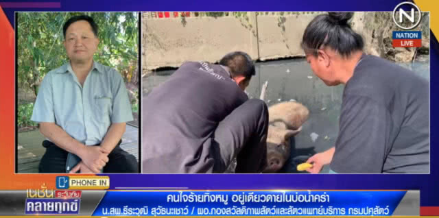 (คลิปข่าว) เปิดภารกิจ ช่วยหมู "หวานเย็น" ขึ้นจากคูน้ำ